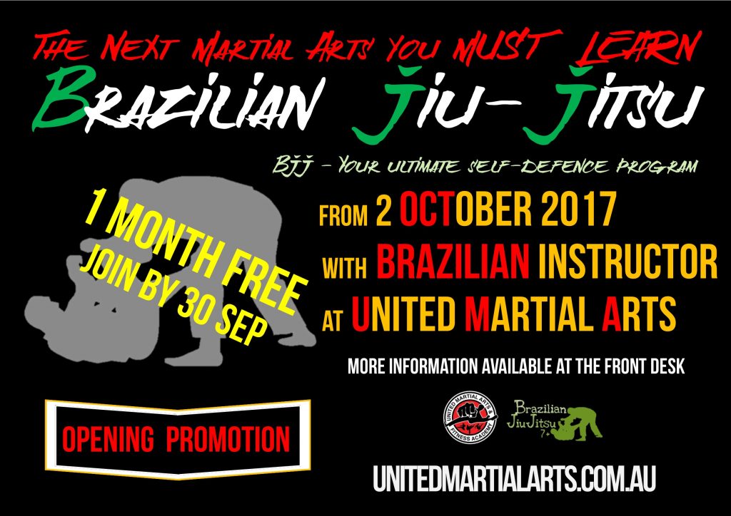 martial arts program brazilian jiujitsu