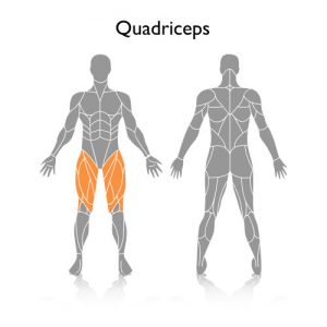 quadriceps taekwondo